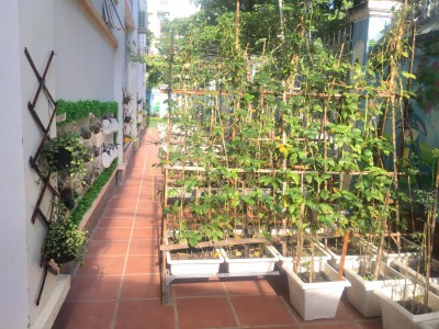 Trường học xanh!