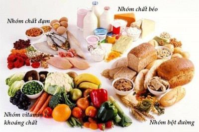 Thực đơn tháng 9/ 2023 cho các bé