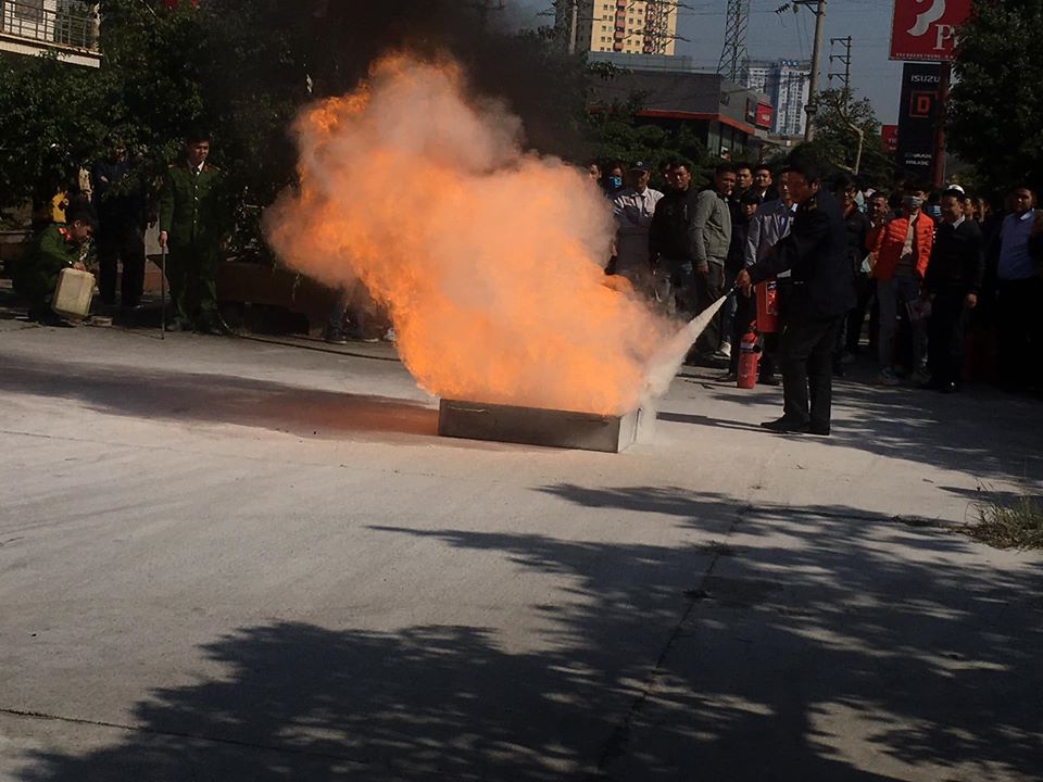 78389805 2177967898970247 3652723278402813952 o