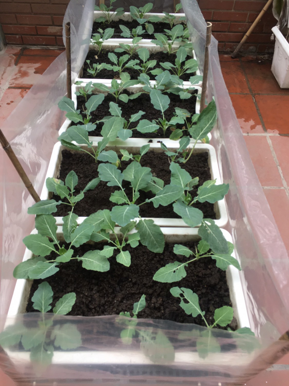 69511fc8f8ee0bb052ff